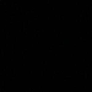 Meet your Posher, Ludy